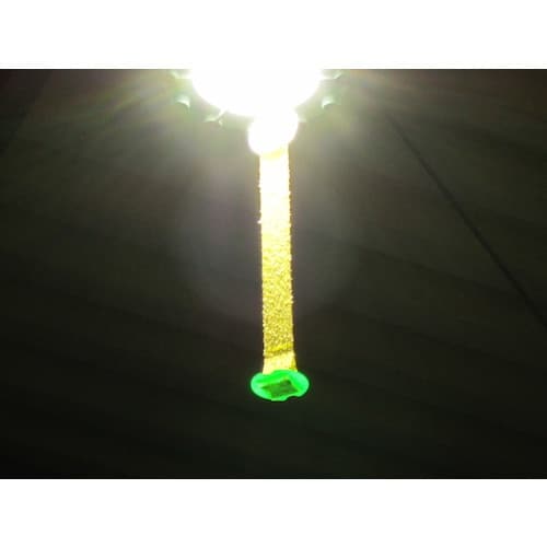 カモ井 吊るすだけ 粘着式ハエ取り