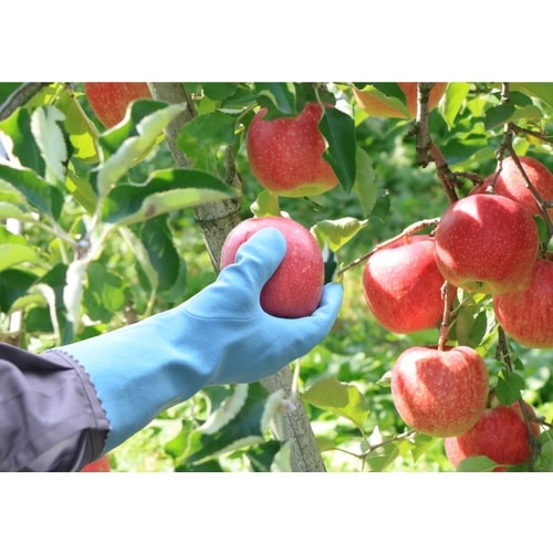 エステー No.603ニトリルソフトLL