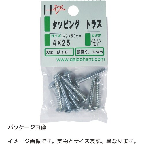 DAIDOHANT HP 黒タッピング トラス 3