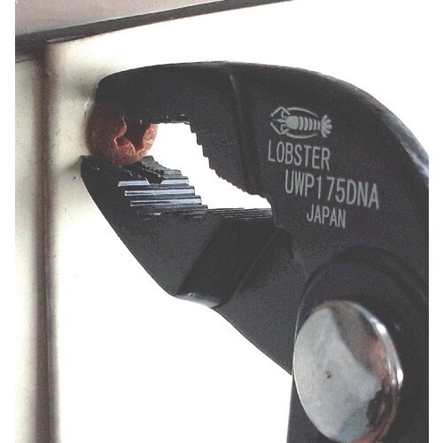 エビ ポンププライヤー ハイブリッドアンギラス 2