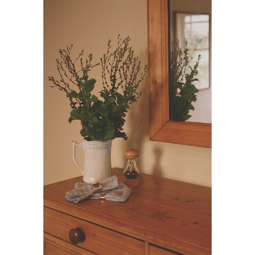 アサヒペン 水性ウレタンニス 300ML つや消し