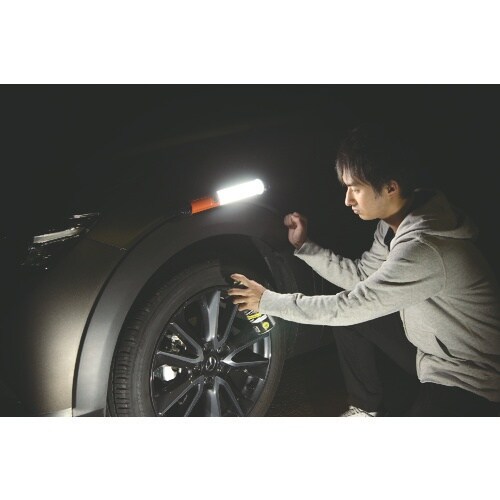 IRIS 568987 PROLEDS LEDステ