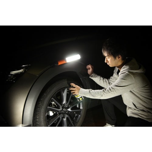 IRIS 568989 PROLEDS LEDステ