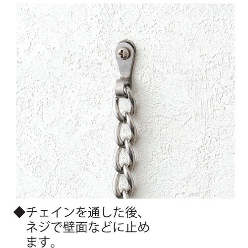 ニッサチェイン ビス止め端子M5用×2ヶ