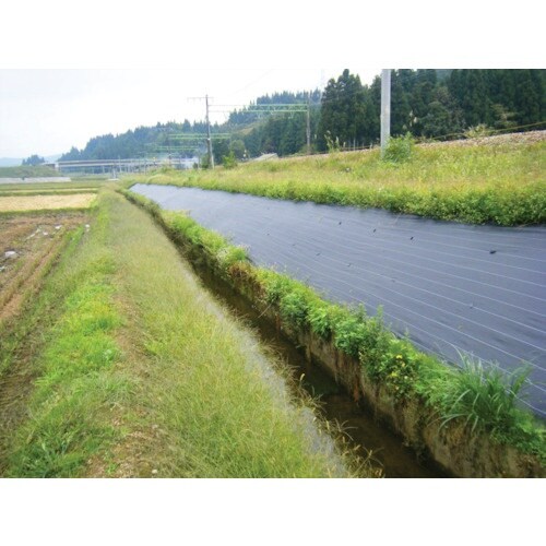 Dio 抗菌剤入り防草シート黒 100cm×100