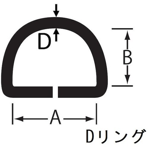 ニッサチェイン ステンレスDリング&カン座 12m