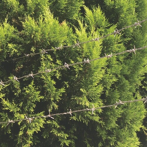 DAIDOHANT ステンレス 有刺鉄線 #16−