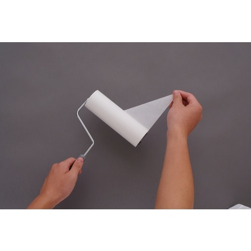 IRIS 572609 トルクル カーペットクリー