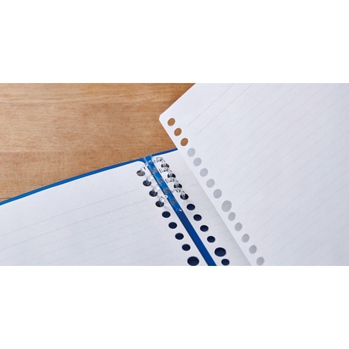 KING JIM リングノート テフレーヌ A4