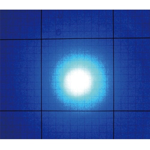 Hydrangea ブラックライト 高出力(ノーマ