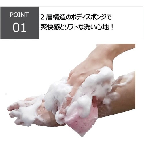 キクロン ファイン ダブルボディスポンジ