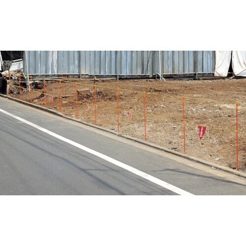 つくし 通せん棒