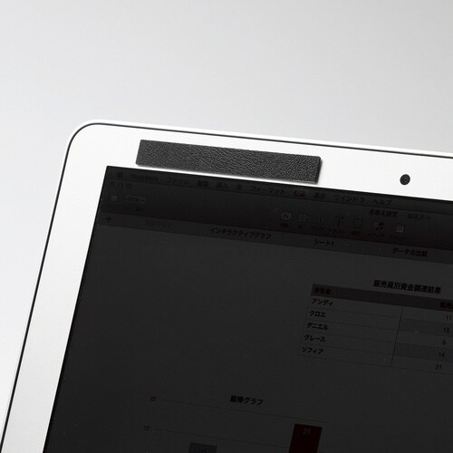 ELECOM のぞき見防止フィルター(取外し式マグ