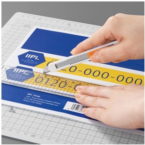 PLUS 48865)いつものラベル ノーカットM