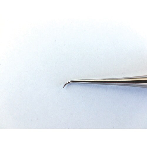 CLOVER Nカーブ目打