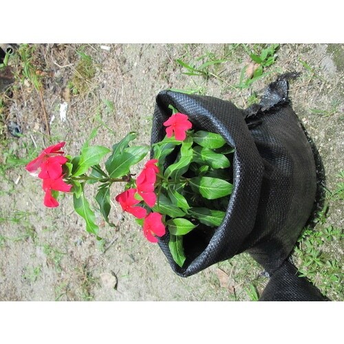 萩原 ターピー 楽チン土のう5枚入り