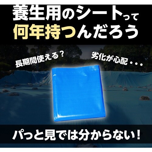 萩原 ターピー 5年シート 1.8mX2.7m ホ