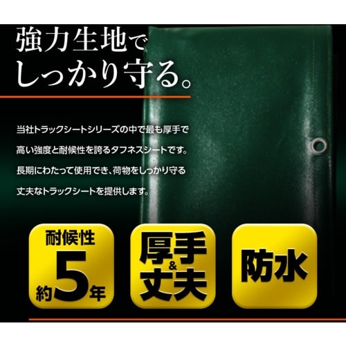 萩原 ターピー エステル帆布トラックシート 1号