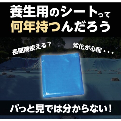 萩原 ターピー 3年シート 2.7mX3.6m ホ