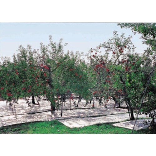 萩原 ターピー 強力アルミ反射クロス(有孔) アル