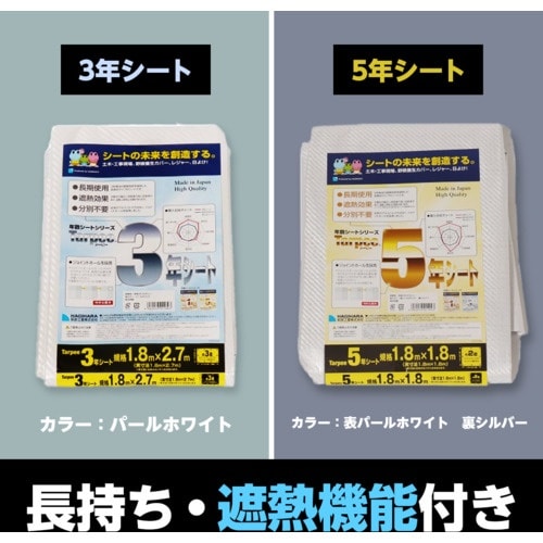 萩原 ターピー 5年シート 3.6mX5.4m ホ