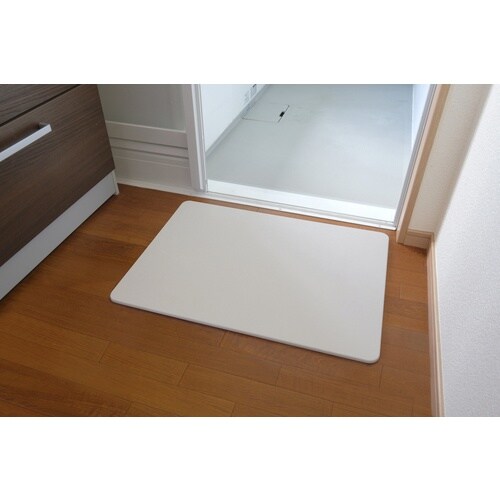 IRIS 524184 速乾快適バスマットLL