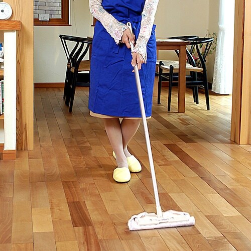 azuma ゾーキンはさんでモップLAL AZ55