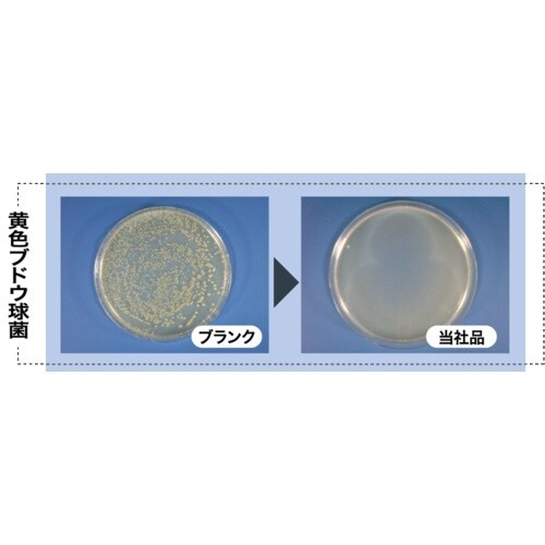 Linda 銀バスクリーナープラス 酸性