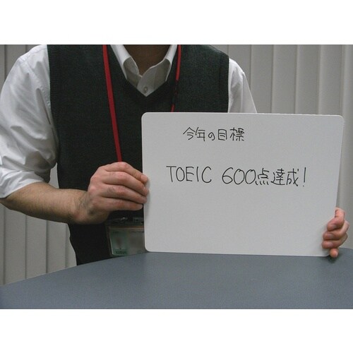 欧文印刷 紙製 薄型ホワイトボード A3判