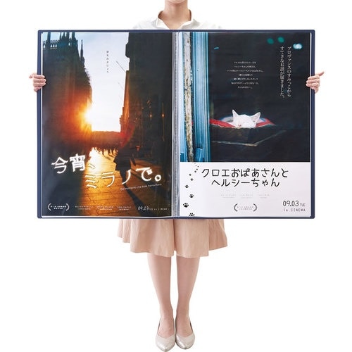 KING JIM ポスタ−ファイル B2タテ型 ネ