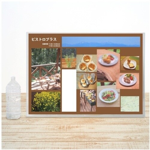 PLUS 34461)カードケース ハード PC−