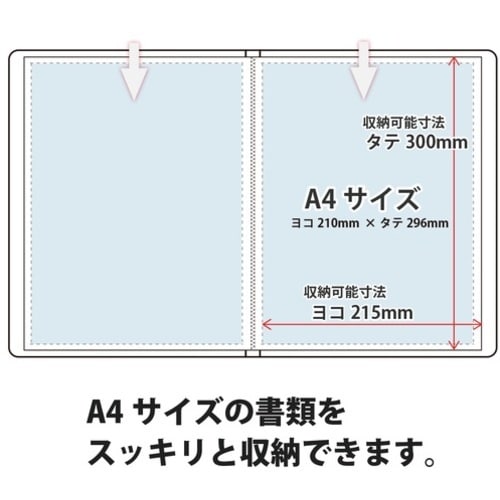 PLUS 88441)クリア−ファイル 60P F