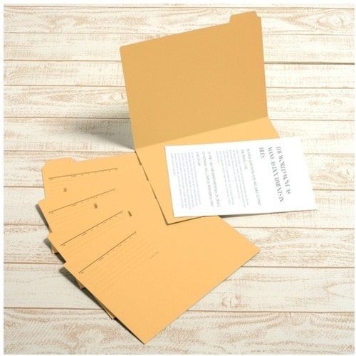 PLUS 87387)カットフォルダー 5山 FL