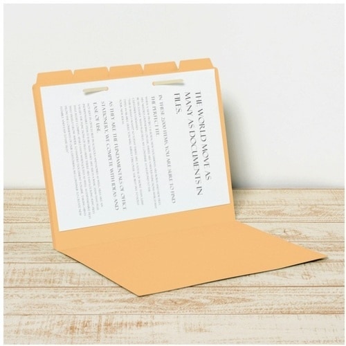 PLUS 87387)カットフォルダー 5山 FL