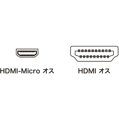 SANWA イーサネット対応ハイスピードHDMIマ