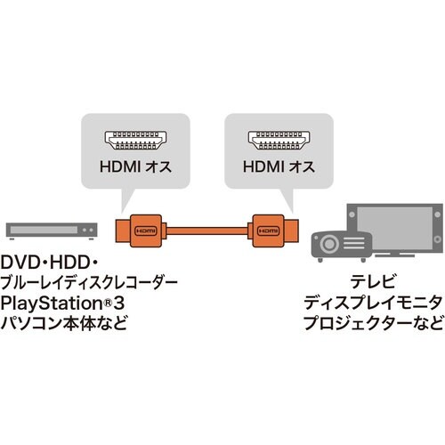 SANWA イーサネット対応ハイスピードHDMIケ