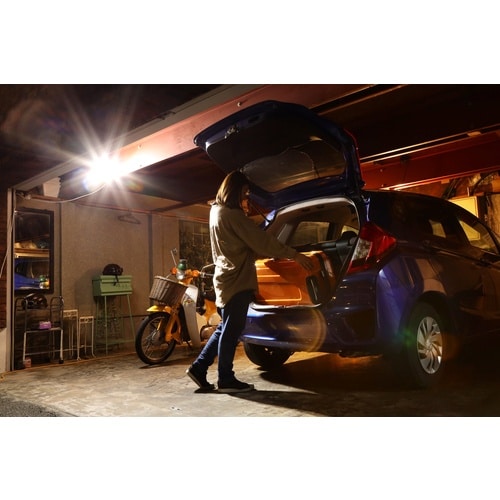 IRIS 522504 ソーラー式LED防犯センサ