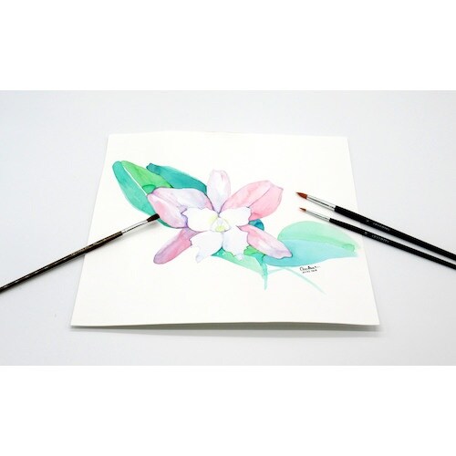 あかしや アートセーブル 平筆 6号