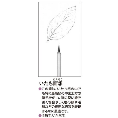 あかしや 筆 いたち面相(大)