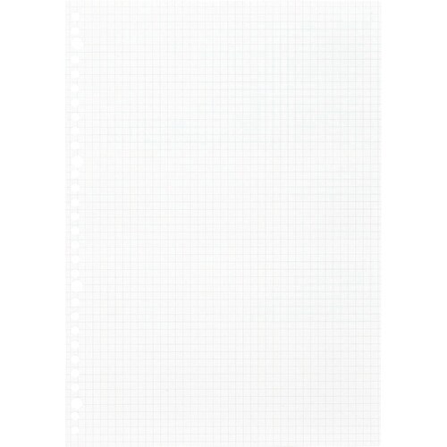 maruman A4 ルーズリーフ 5mm方眼罫1
