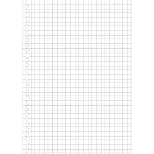 maruman A4 ルーズリーフ 5mm方眼罫1