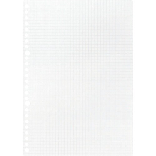 maruman B5 ルーズリーフ 5mm方眼罫1