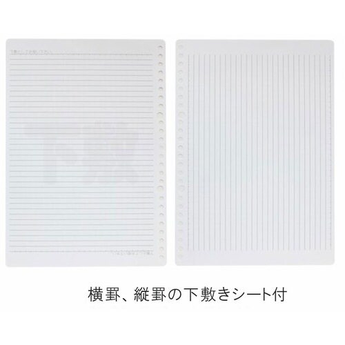 maruman B5 ルーズリーフ 無地 100枚