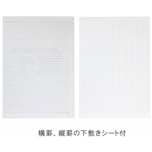 maruman A4 ルーズリーフ 無地 100枚