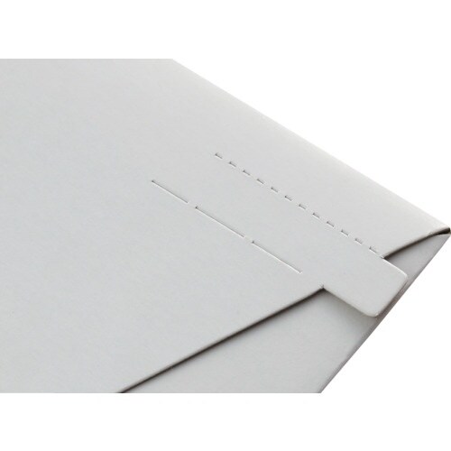 キングコーポ ビジネスバッグ 小25枚入(310×