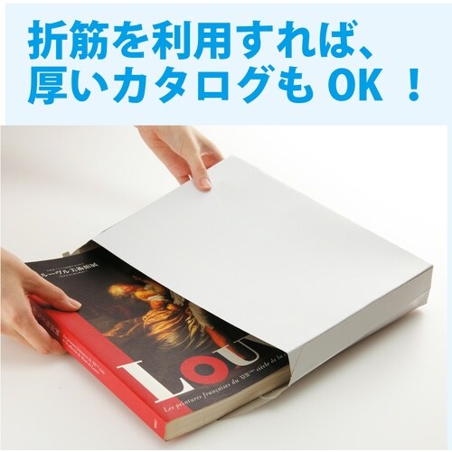 キングコーポ ビジネスバッグ 小100枚入(310