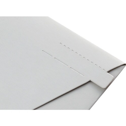 キングコーポ ビジネスバッグ 小100枚入(310