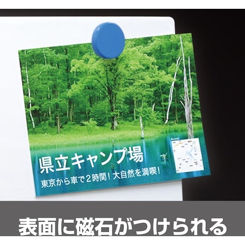 マグエックス 吸着ホワイトボードシート 超特大