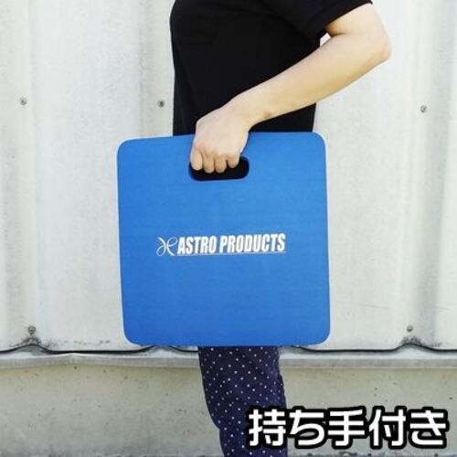 アストロプロダクツ クッションシート 青