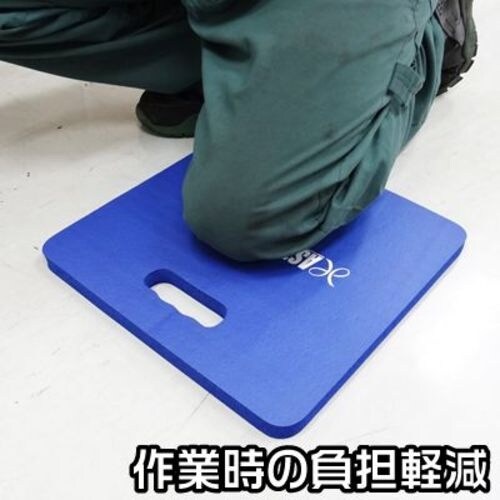 アストロプロダクツ クッションシート 青